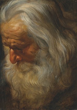 Main Product Photo of Head study of a bearded old man Painting by Peter Paul Rubens