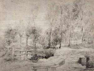 Landscape with a Trees by Peter Paul Rubens Oil Painting Reproduction