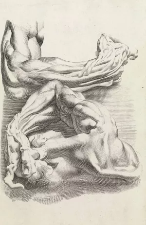 Muscles by Peter Paul Rubens - Hand-Painted Oil Painting Reproduction
