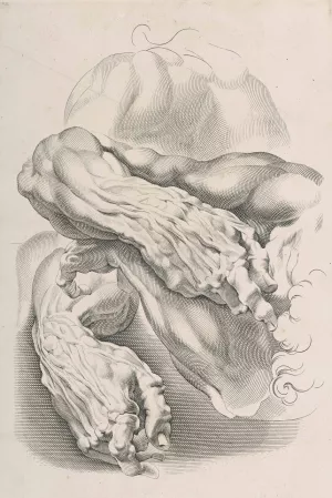 Muscles by Peter Paul Rubens - Hand-Painted Oil Painting Reproduction
