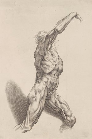 Main Product Photo of Nude Study Painting by Peter Paul Rubens