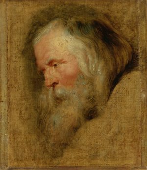 Study Head of Caspar, The Eldest Magus by Peter Paul Rubens Oil Painting Reproduction