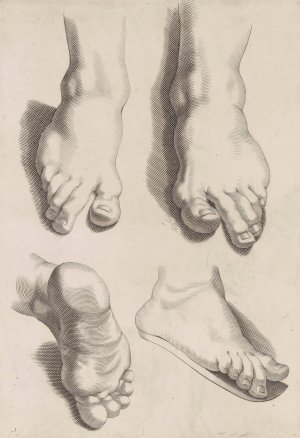 Study of Feet by Peter Paul Rubens Oil Painting Reproduction
