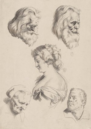 Study of Heads by Peter Paul Rubens Oil Painting Reproduction