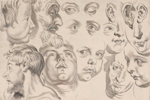 Study of Heads by Peter Paul Rubens Oil Painting Reproduction