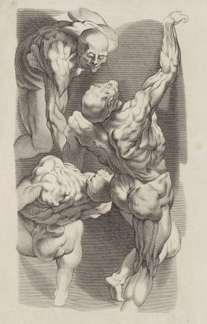 Main Product Photo of Study of Three Naked Men Painting by Peter Paul Rubens