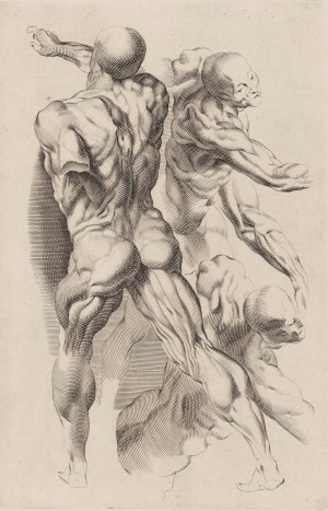 Main Product Photo of Study of Two Naked Men Painting by Peter Paul Rubens